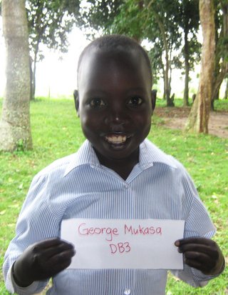 db-3