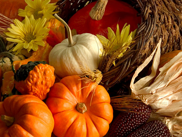 Mission Thoughts at Thanksgiving : Harvest Ministry